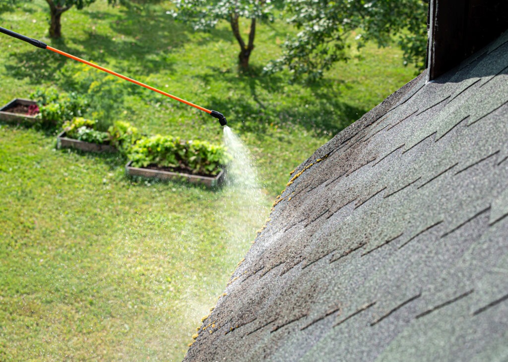 Moss Removal Derbyshire